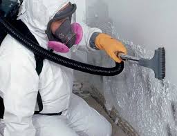 Professional Mold Removal in Westchester, IL